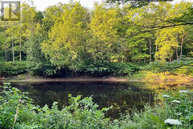 PART LOT 28 CONCESSION 12 BLACK RIVER ROAD Kawartha Lakes (Dalto in Land for Sale in Barrie - Image 12
