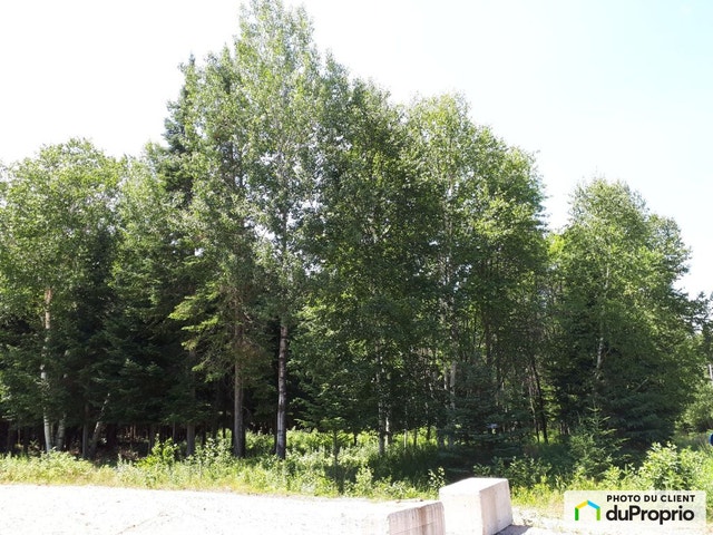 $99,500 - Residential Lot for sale in St-Michel-Des-Saints — photo 1