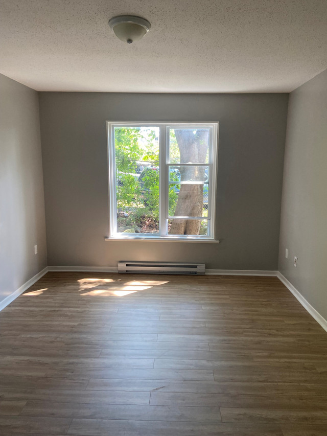ONE BEDROOM APARTMENT AVAILABLE WELCOME TO 356 WINDMILL ROAD Long