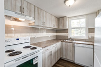 Feel like royalty at King’s Alley Apartments. Nestled in the heart of Calgary, our comfortably desig... (image 7)