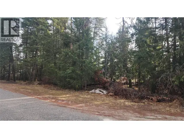 938 23 Highway Nakusp, British Columbia in Land for Sale in Nelson - Image 5