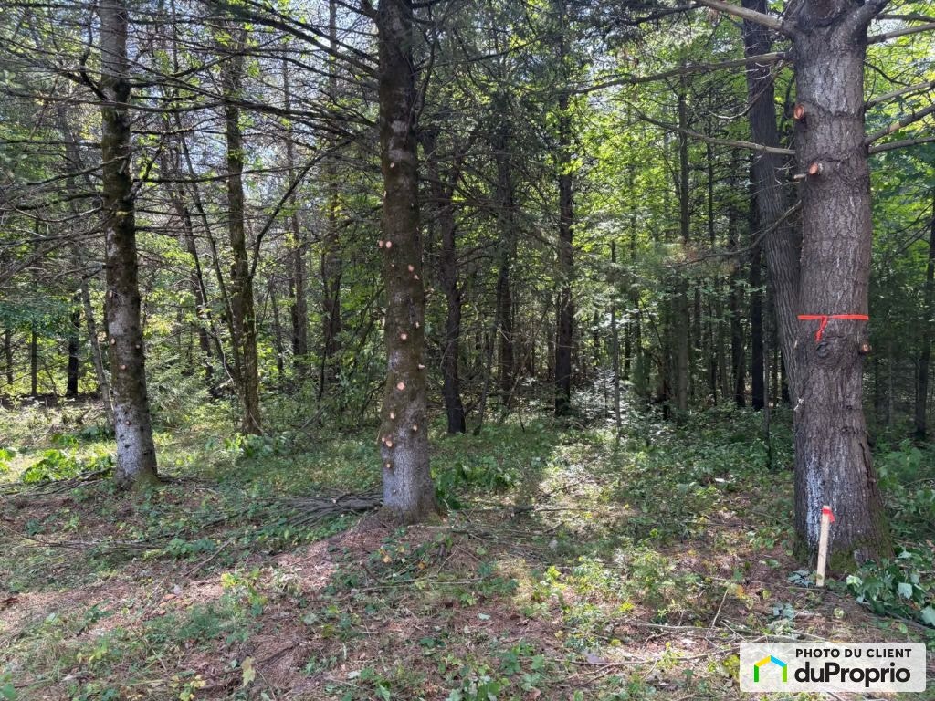 $149,999 - Residential Lot in Trois-Rivières (Trois-Rivières) — photo 3