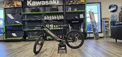 ELECTRIC MOTOR The 2025 Elektrode 20 provides fun and exciting power output for quick and aggressive...