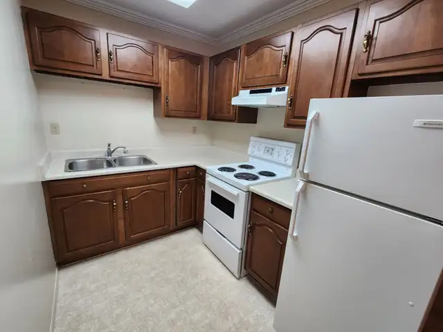 1 & 2 BDRM APARTMENTS FOR RENT IN CROWSNEST PASS in Long Term Rentals in Lethbridge - Image 10