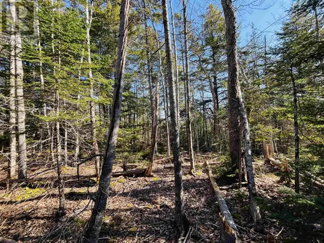 Lot 1 Oldham Road Enfield, Nova Scotia in Land for Sale in City of Halifax - Image 11