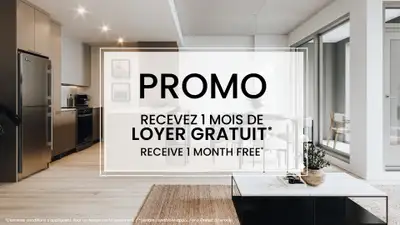 rental apartment for rent logement locatif-nouveau new luxe-1 bedroom/chambre-1cc 3.5 3 1/2 Penthous...