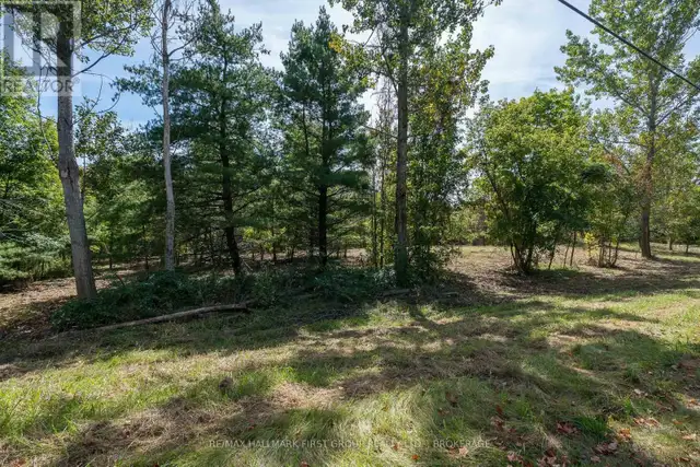 00 PALACE ROAD Greater Napanee (Greater Napanee), Ontario in Land for Sale in Napanee - Image 5