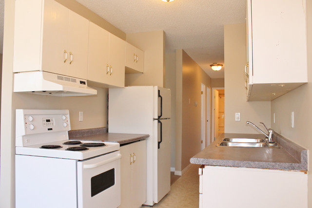 Simpson House  - 1 Bedroom 1 Bath Apartment for Rent in Long Term Rentals in Yellowknife - Image 2