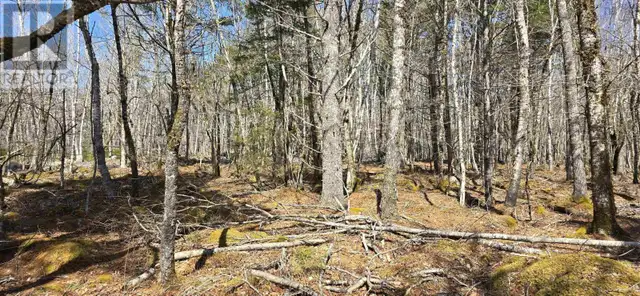69 Sparkling Spring Lane Labelle, Nova Scotia in Land for Sale in Bridgewater - Image 15