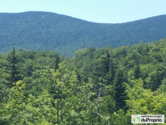 $95,000 - Residential Lot for sale in Notre-Dame-Des-Bois — photo 1