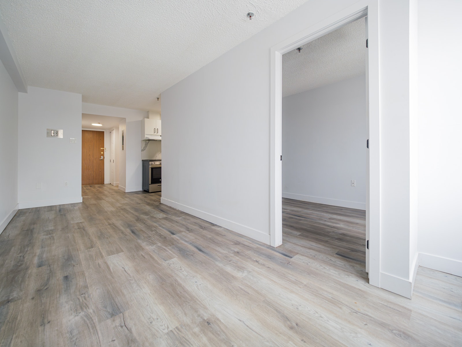 955 boul. René-Lévesque Est — photo 3