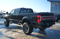 MELT AWAY WINTER AND SHIFT INTO SPRING AT ADRENALIN MOTORS CANADIAN ORIGINAL 2023 Ford F-350 Harley-... (image 6)