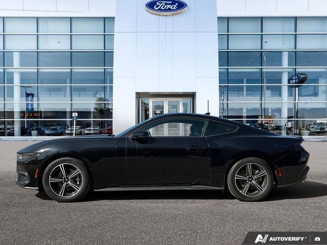 2025 Ford Mustang EcoBoost Premium 2.3L | Paint Protection Film  in Cars & Trucks in Winnipeg - Image 3