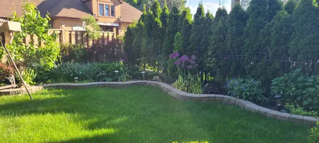 Cutting tree and roofing518065397129564164