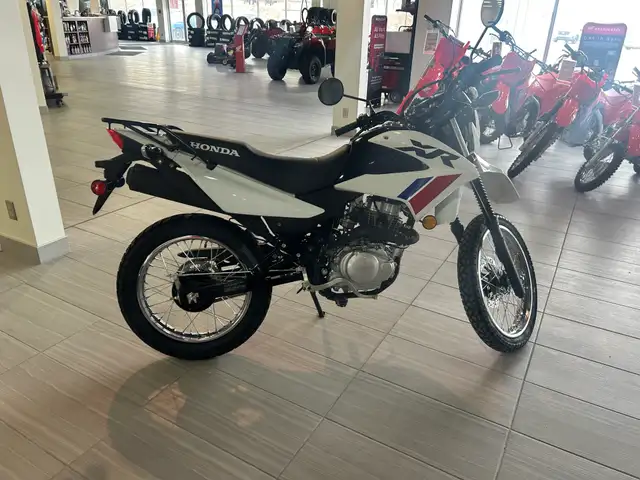2025 Honda XR Honda XR150L Dual Purpose (Click Ad For Details) in Street, Cruisers & Choppers in Swift Current - Image 8