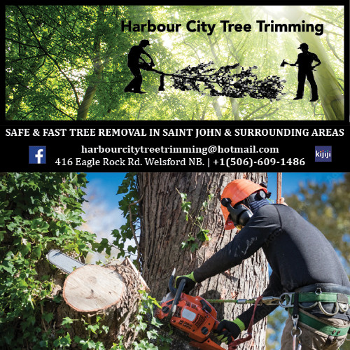 Stump Grinding Services (HCTT) in Lawn, Tree Maintenance & Eavestrough in Saint John