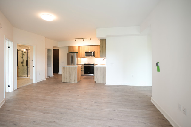 2 Bedroom 2 Bathroom Condo Available at Little Lake! in Long Term Rentals in Barrie - Image 3