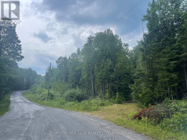 LOT 3 - N/A HADLINGTON ROAD Highlands East (Monmouth), Ontario in Land for Sale in Trenton - Image 4