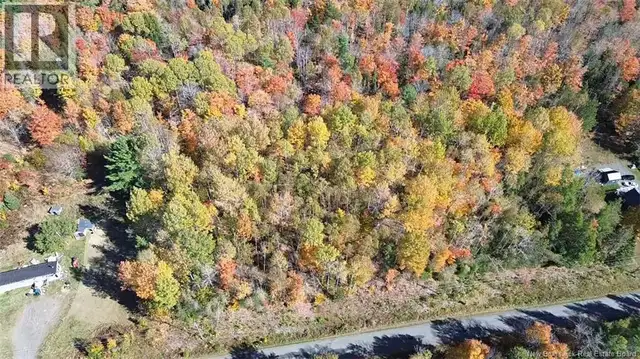33 Dorrington Hill Road Canterbury, New Brunswick in Land for Sale in Fredericton - Image 6