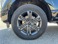 NACTOY 2021 North American Truck of the Year. This Ford F-150 boasts a Regular Unleaded V8 5.0 L eng... (image 9)