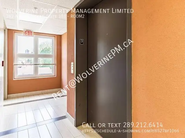Female Student Housing in Waterloo - Students Only in Long Term Rentals in Kitchener / Waterloo - Image 4