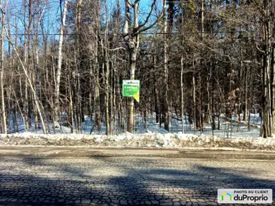 Traduction automatique Propriété magnifiquement boisée, forêt mature, ruisseau qui babille doucement...