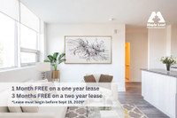 *THREE MONTHS FREE RENT* Rental Close to U of T! City of Toronto Toronto (GTA) Preview