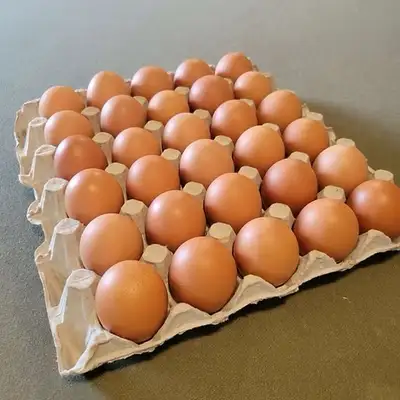 Fresh Farm Eggs For Sale Mississauga, View more