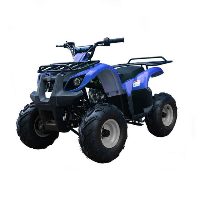 110 cc atv , dirt bike, dune buggies in ATVs in Saskatoon - Image 3