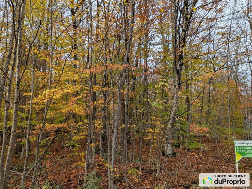 $88,000 - Residential Lot for sale in Austin — photo 2