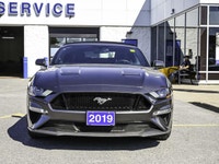Experience the thrill of pure performance with the 2019 Ford Mustang GT Premium, now available at Ji... (image 9)