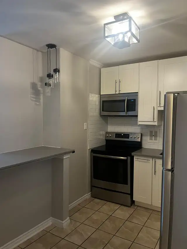FULLY RENOVATED 1 BEDROOM APARTMENT FOR RENT | HAMILTON63417674685825122