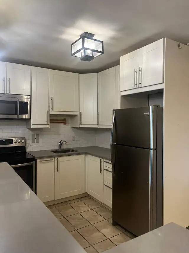 FULLY RENOVATED 1 BEDROOM APARTMENT FOR RENT | HAMILTON63417674685825121
