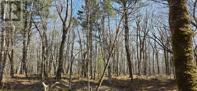 69 Sparkling Spring Lane Labelle, Nova Scotia in Land for Sale in Bridgewater - Image 17