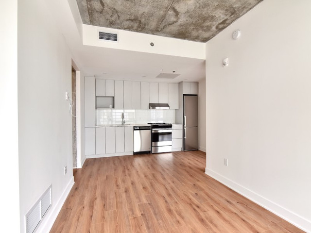 PENTHOUSE 2cc Condo appart à louer-Quartier Latin-Berri UQAM dans Locations longue durée  à Ville de Montréal - Image 4