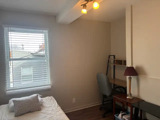 Photo 5