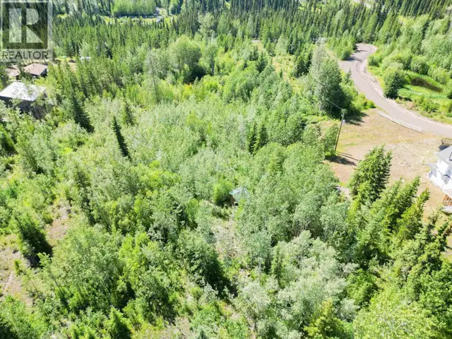 3620 MURPHY ROAD Burns Lake, British Columbia in Land for Sale in Burns Lake - Image 16