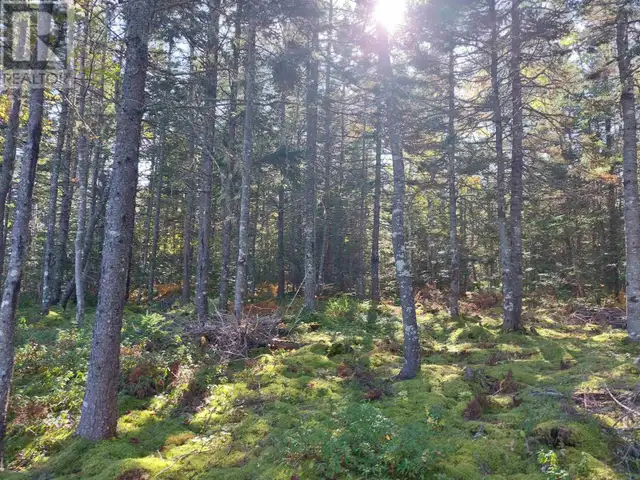 Lot 23 Kopylov Lane Kempt Road, Nova Scotia62863761847682121