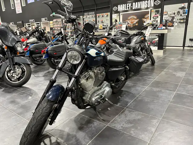 2009 Harley-Davidson Sportster 883 Low in Sport Bikes in Sudbury - Image 10