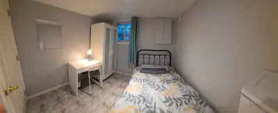 Room in walk-out basement available immediately