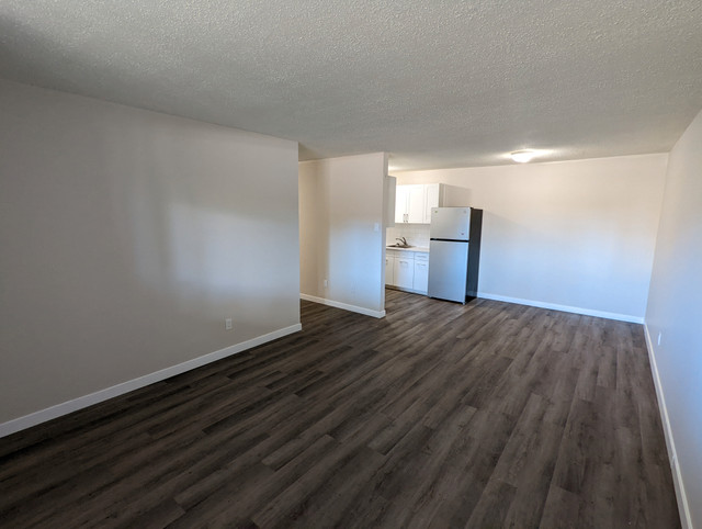 Mount Royal Apartment For Rent | Lancelot Apartments in Long Term Rentals in Saskatoon - Image 4