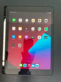 iPad 7 (A2197) & Apple Pencil