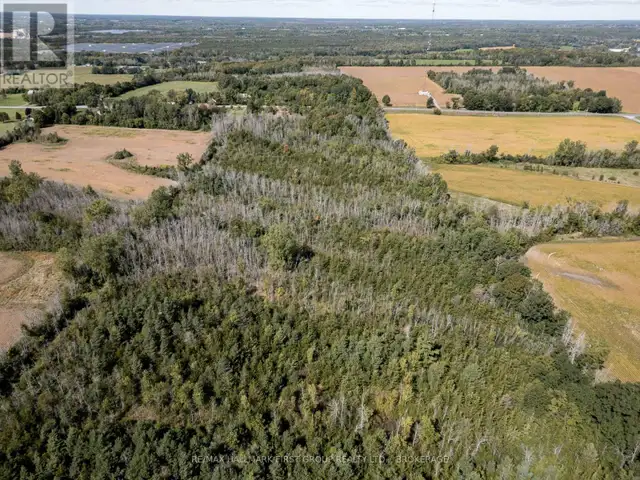 00 PALACE ROAD Greater Napanee (Greater Napanee), Ontario in Land for Sale in Napanee - Image 23