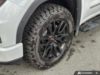 4WD Crew Cab 157 Elevation ... Engine: Gas V8 5.3L/325 Other Equipment ENGINE 5.3L ECOTEC3 V8 (355 h... (image 8)