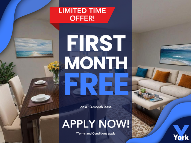 One Bedroom Suite in prime location!