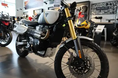 Argyll Motorsports 2026 Triumph Scrambler 1200 XE Matte khaki green Style. Attitude. Capability Feat...