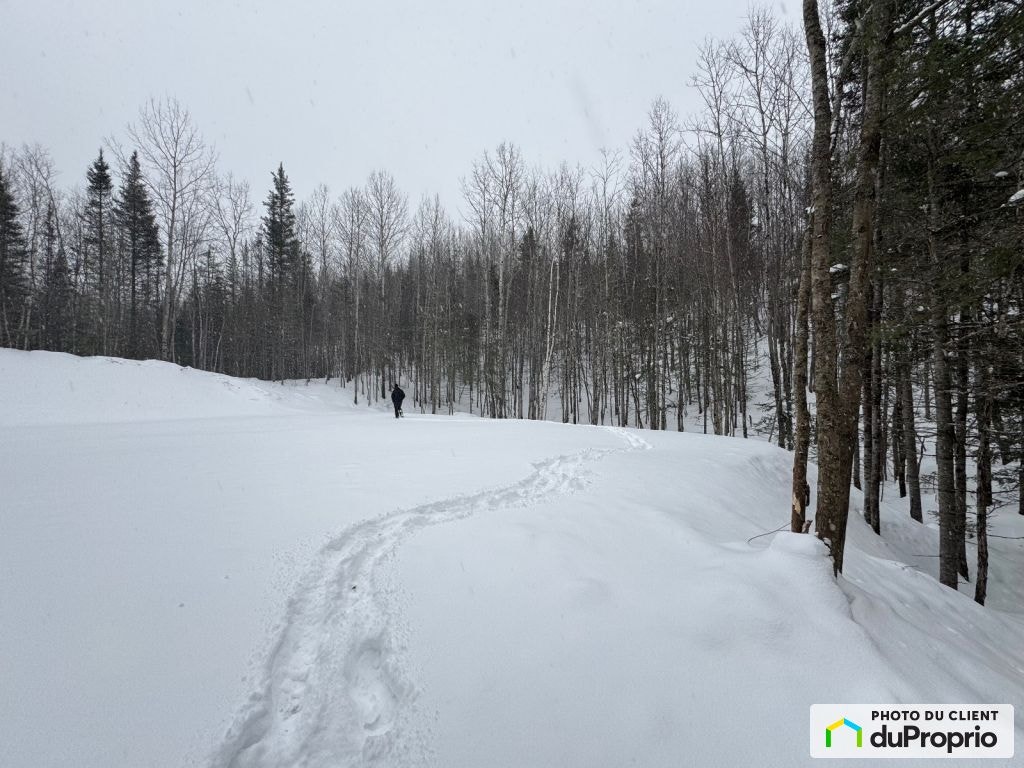 $90,000 - Residential Lot for sale in L'Anse-St-Jean — photo 3