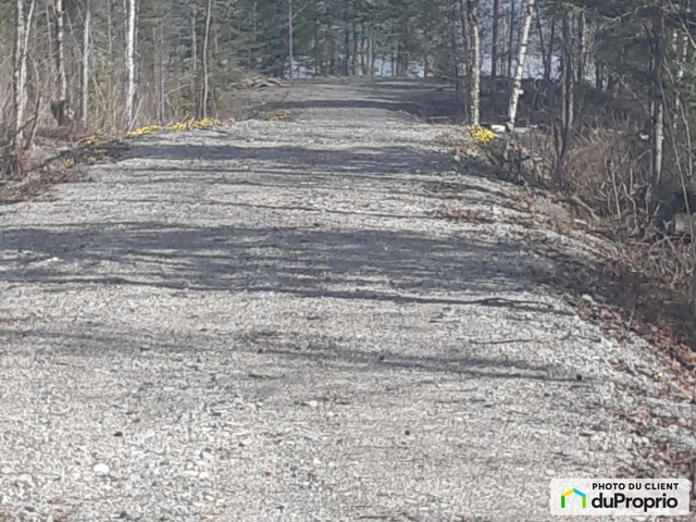 $130,000 - Residential Lot for sale in Lac-Des-Aigles — photo 2