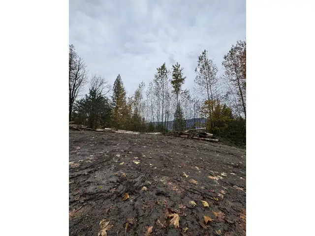 41768 BOWMAN ROAD, Vedder Mountain Yarrow, British Columbia in Land for Sale in Chilliwack - Image 20