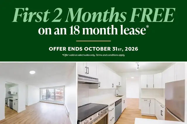 Beautifully renovated suites with walk-in closets | Gym, social 